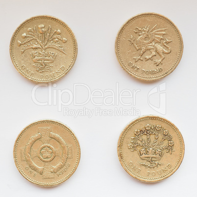 Pound coin