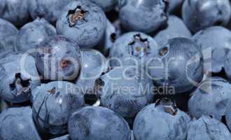 Fresh group of blueberries
