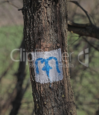 Blue M character sign tourist hiking route on a tree