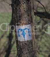 Blue M character sign tourist hiking route on a tree