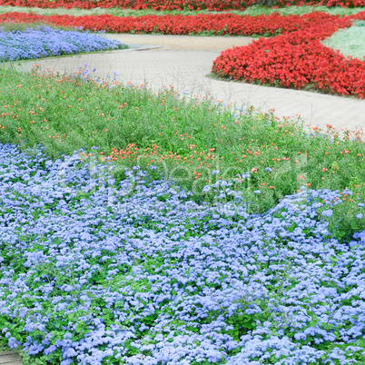 beautiful flower beds and paths