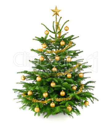 Schöner, gold geschmückter Weihnachtsbaum
