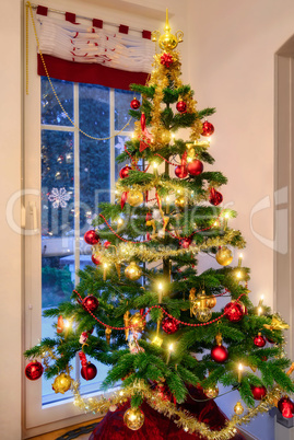 Weihnachtsbaum im Wohnzimmer