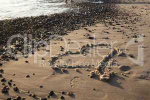 Heart in the sand beach