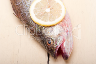 fresh whole raw fish