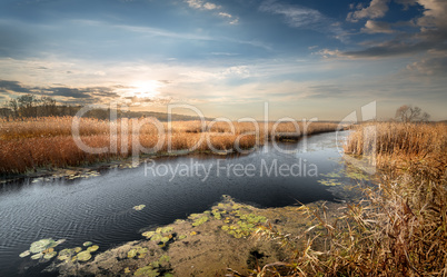 Autumn river and reeds