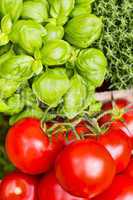 Tomaten und Basilikum, Tomatoes and basil