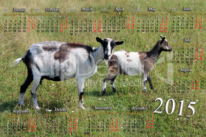 calendar for 2015 year with goat and kid