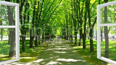 window opened to the beautiful park with many green trees