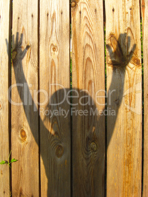 shadows of teen's hand raising up on the fence