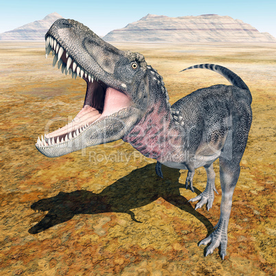 Dinosaurier Tarbosaurus