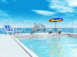Delfin im Swimmingpool