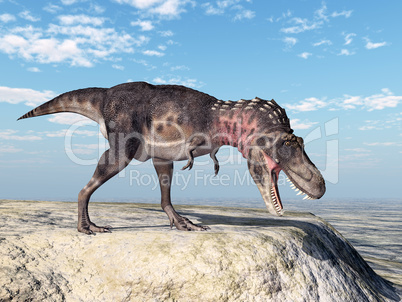 Dinosaurier Tarbosaurus