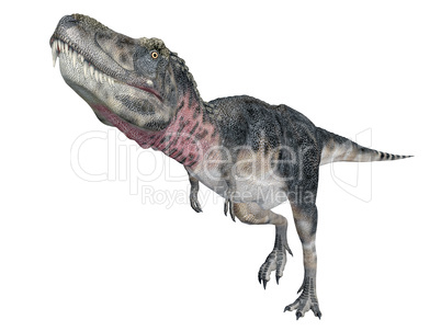 Dinosaurier Tarbosaurus