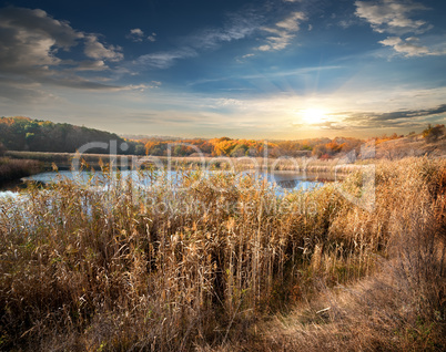 Reeds and lake