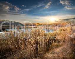Reeds and lake