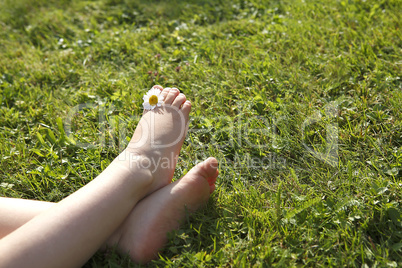 Feet of a small girl with daisy between her toes