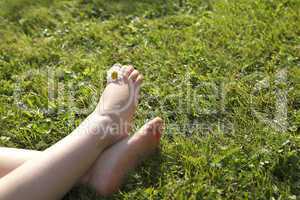 Feet of a small girl with daisy between her toes