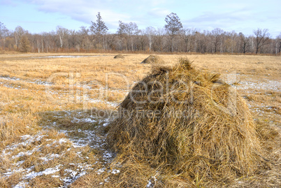 Haystack