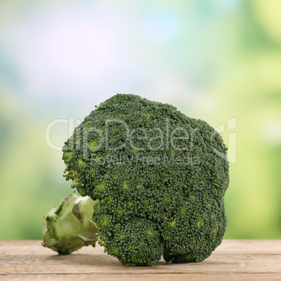 Brokkoli Gemüse im Sommer