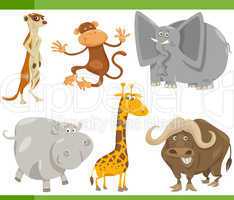 safari animals cartoon set illustration