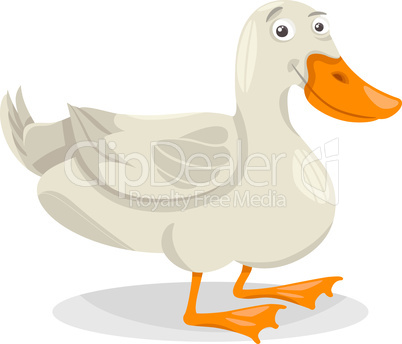 duck farm bird cartoon illustration