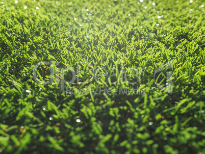 Artificial grass