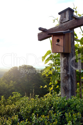 Bird house in nature