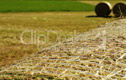 Straw bales