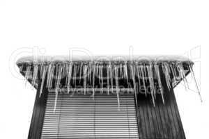 Icicles