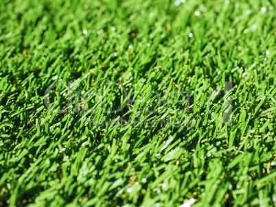 Artificial grass