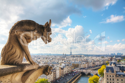 Paris aerial view with Chimera