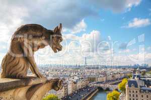 Paris aerial view with Chimera