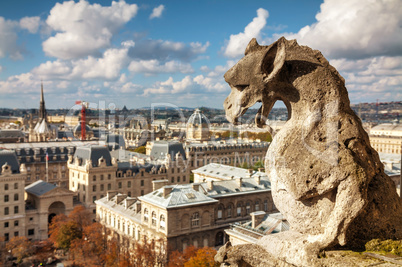 Paris aerial view with Chimera