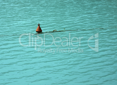 Bouy in the water