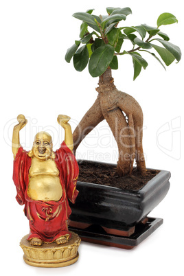 Bonsai mit Buddha
