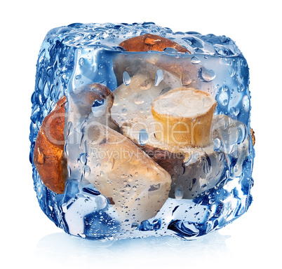 Mushrooms in ice cube