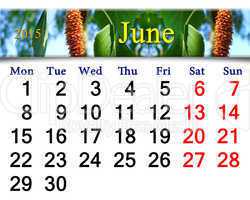 calendar for June of 2015 year with image of birch's leaves