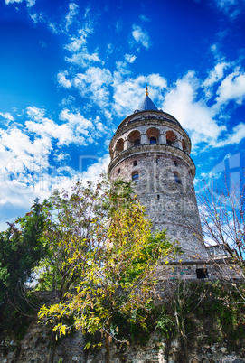 Stunning view of Galata Tower framed by trees