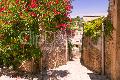 Old town in provence