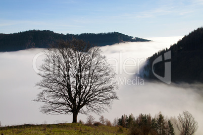 wolkenmeer