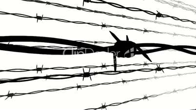 Silhouette of the barbed wire.