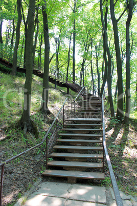 stairs in the park with big trees