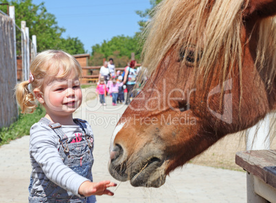 Little blonde girl feeding a horse at the zoo on sunny summer day