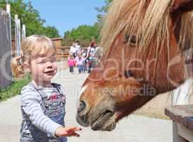Little blonde girl feeding a horse at the zoo on sunny summer day