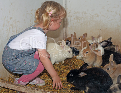 Happy girl with blond hair playing with rabbits