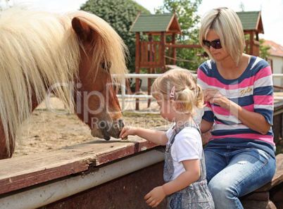 Little blonde girl and her mother feeding a horse at the zoo on sunny summer day