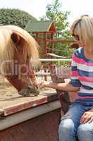Young woman feeding a horse at the zoo on sunny summer day
