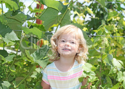 Blond kid girl in the green grapes bush