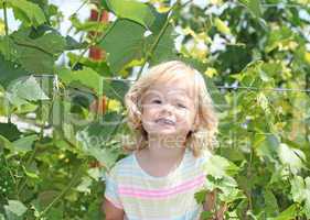 Blond kid girl in the green grapes bush